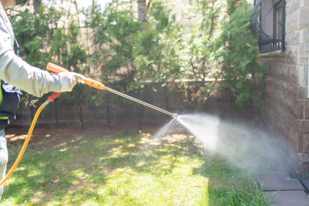 Best Outdoor Pest Control  in Gorevle, IL